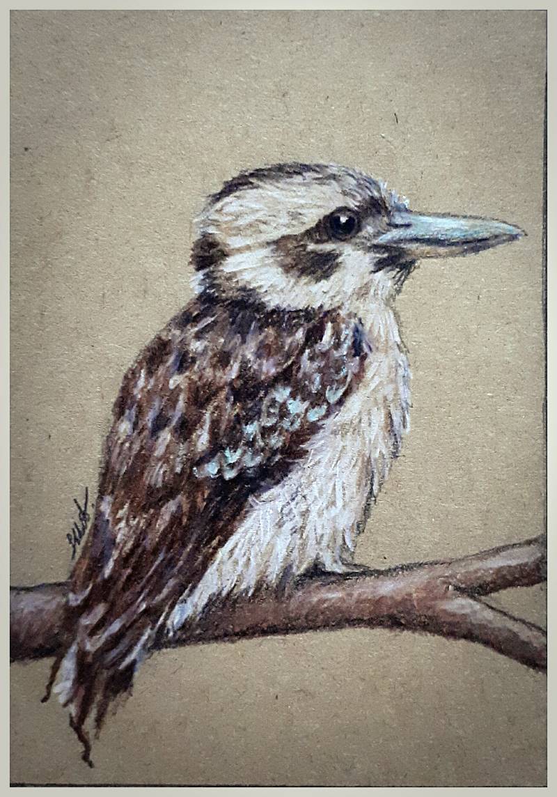 bird by Jesseeker44 (Pencil, Colored pencil)