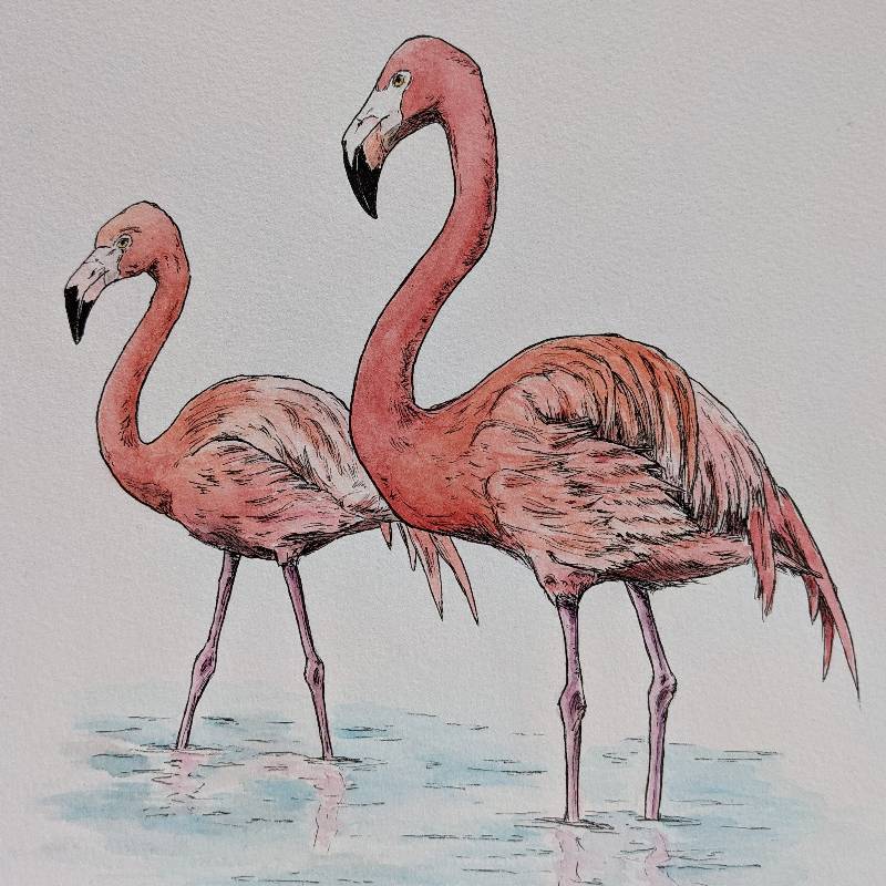 bird by Elan28 (Watercolor, Pen)