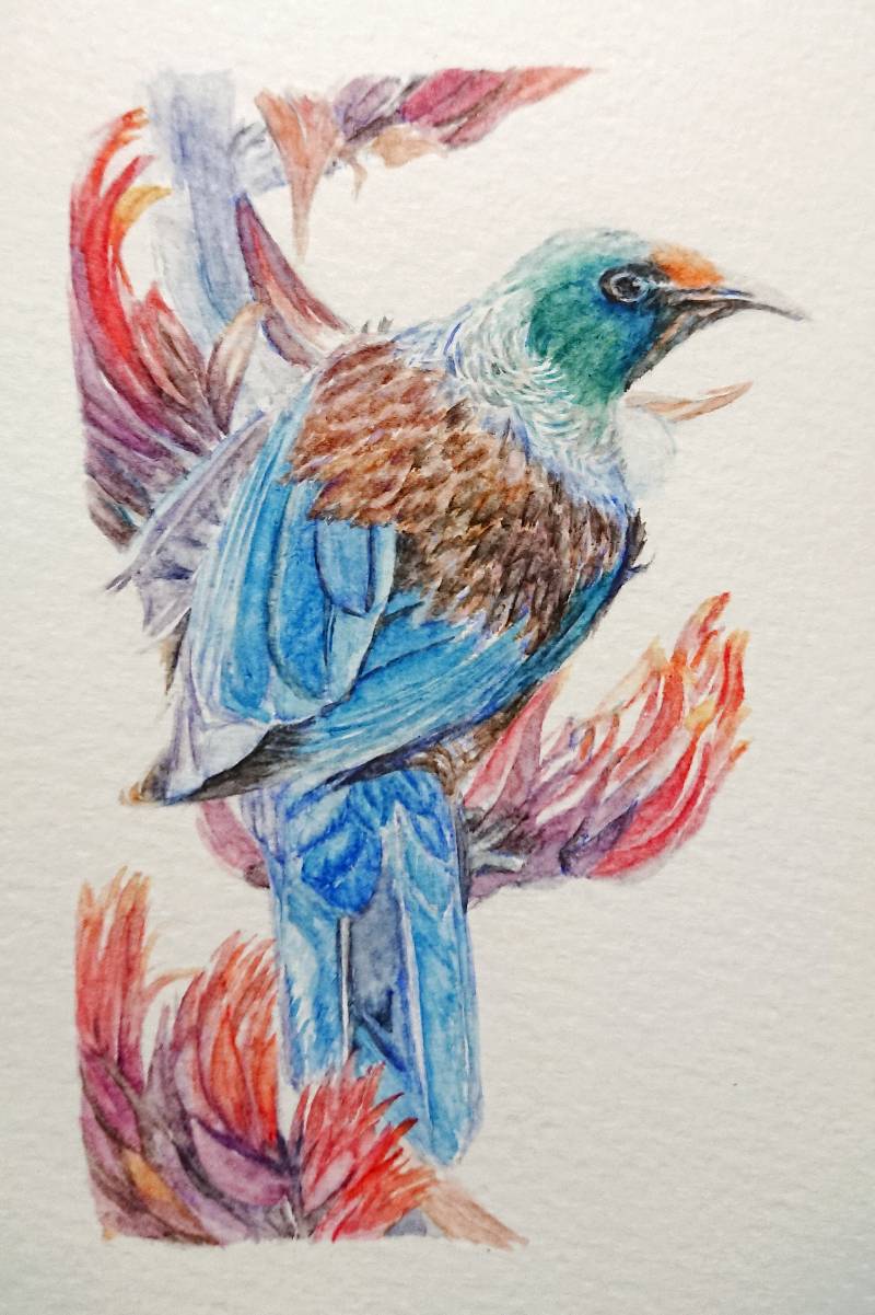 bird by meidraws (Watercolor)
