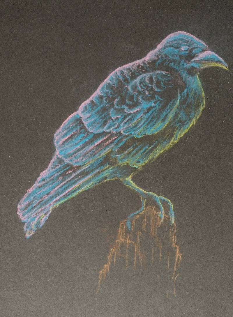 bird by HighPlainsGrifter (Soft pastel)