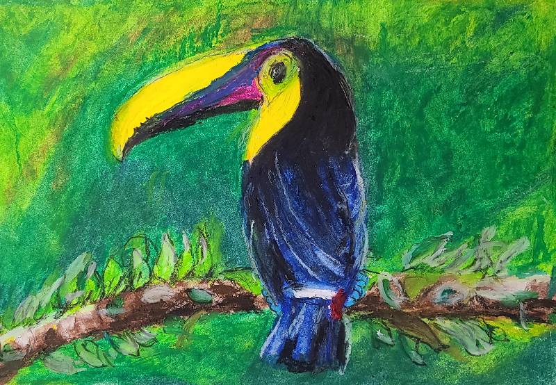 bird by interior_painter_me (Oil pastel)