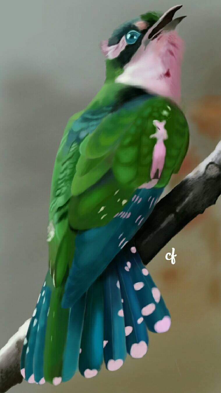 bird by desirella (Digital)