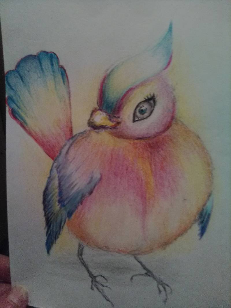 bird by letha (Pencil, Watercolor, Markers, Colored pencil)