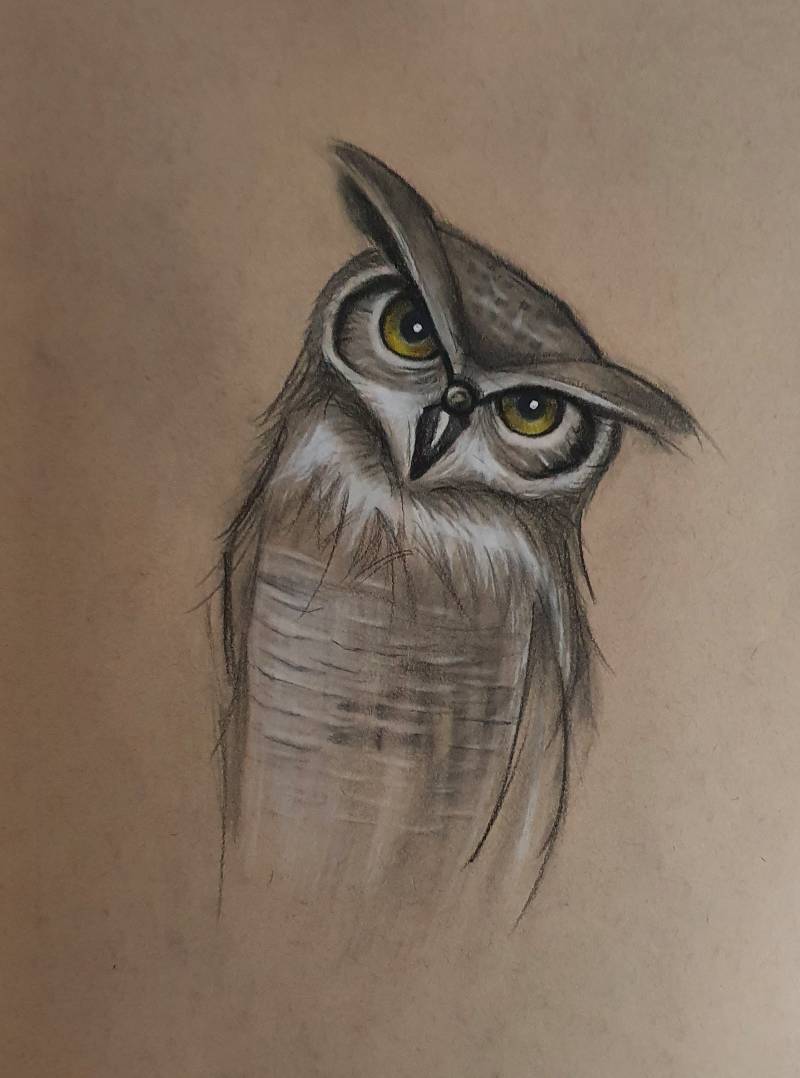 bird by Nayr (Pencil, Colored pencil)