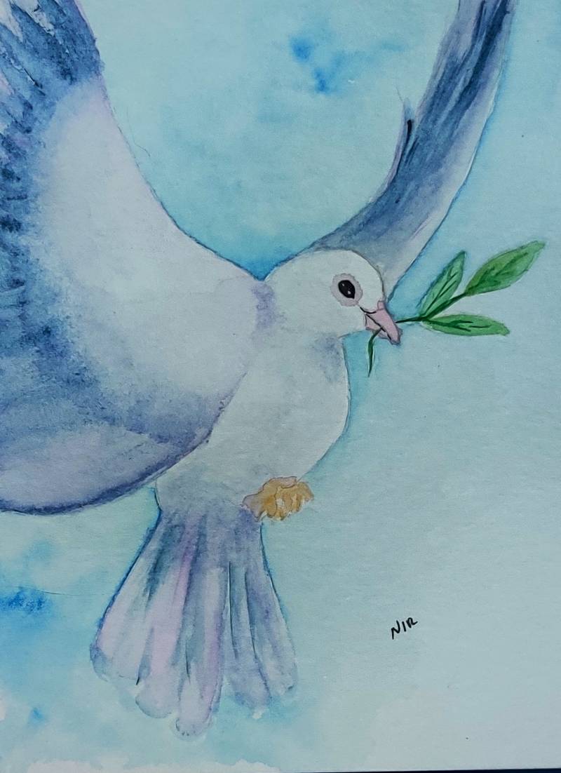 pigeon by almaboricua (Watercolor)