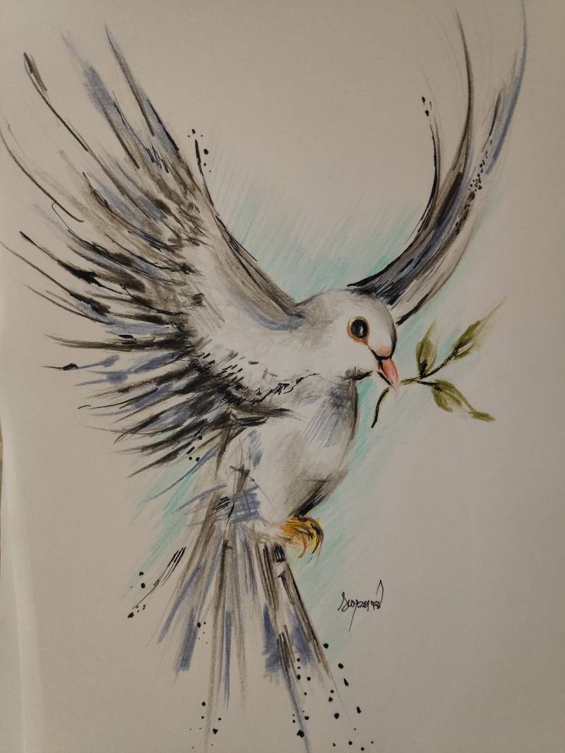 pigeon by Suza (Ink, Colored pencil)