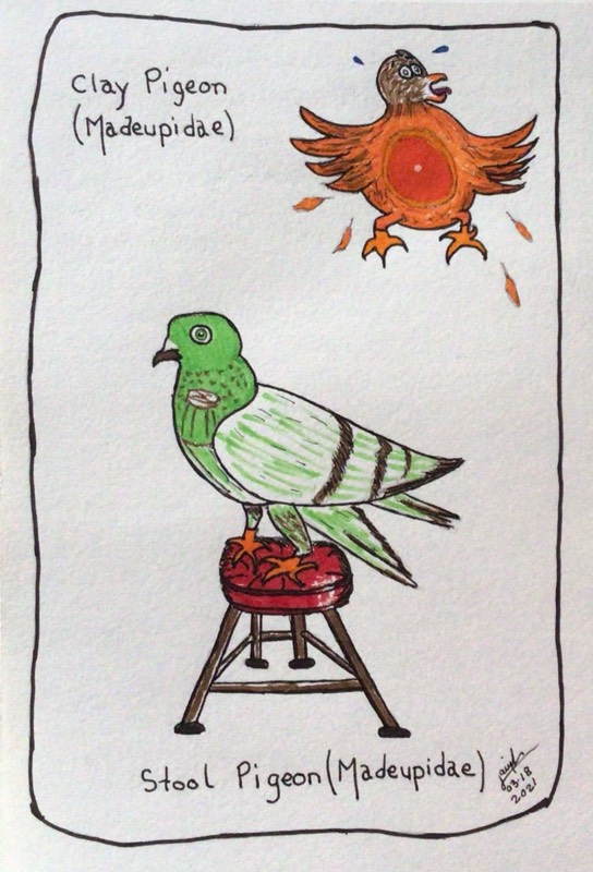 pigeon by jaiylee (Ink, Markers)