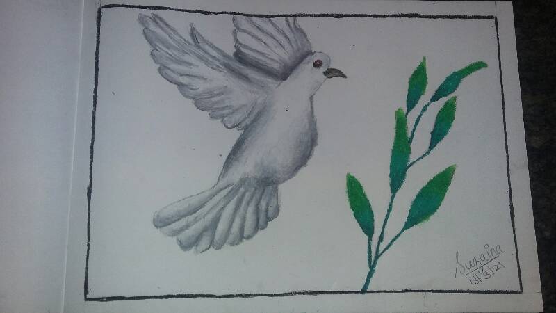 pigeon by Suzaina (Oil pastel)