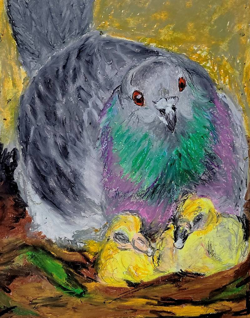pigeon by interior_painter_me (Oil pastel)