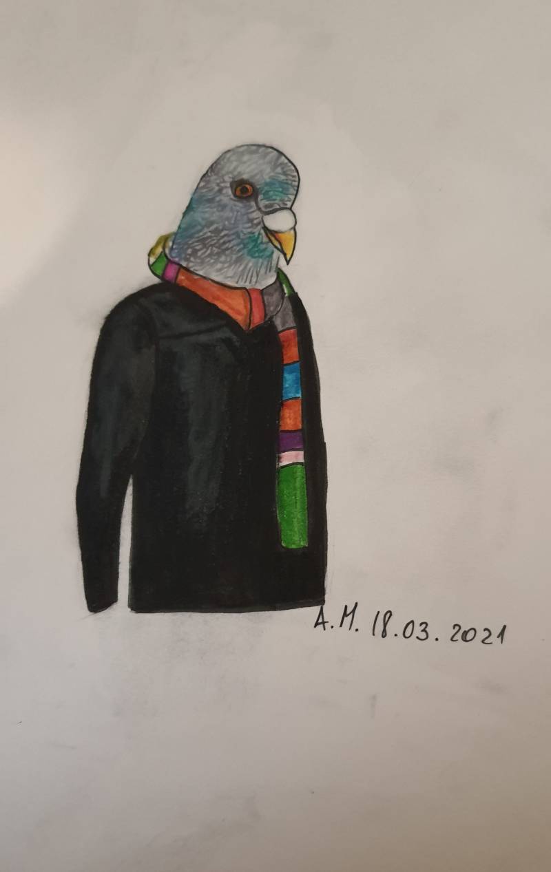 pigeon by AndyMartin300 (Pencil, Ink, Pen, Markers, Soft pastel)