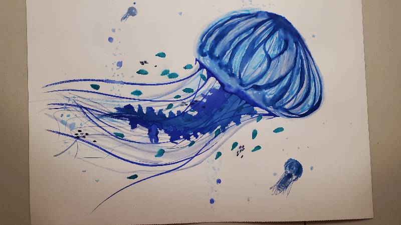 jellyfish by bridgecraft (Watercolor, Markers, Other)