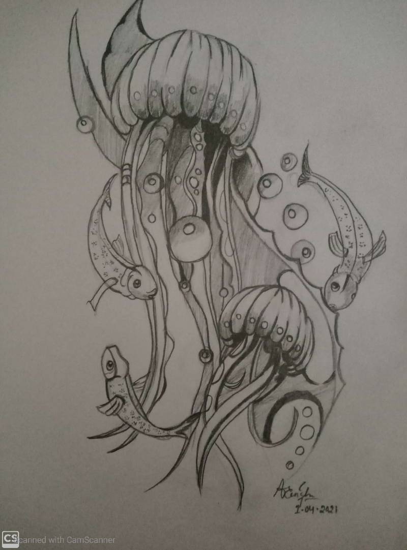 jellyfish by artdairy1995 (Pencil)