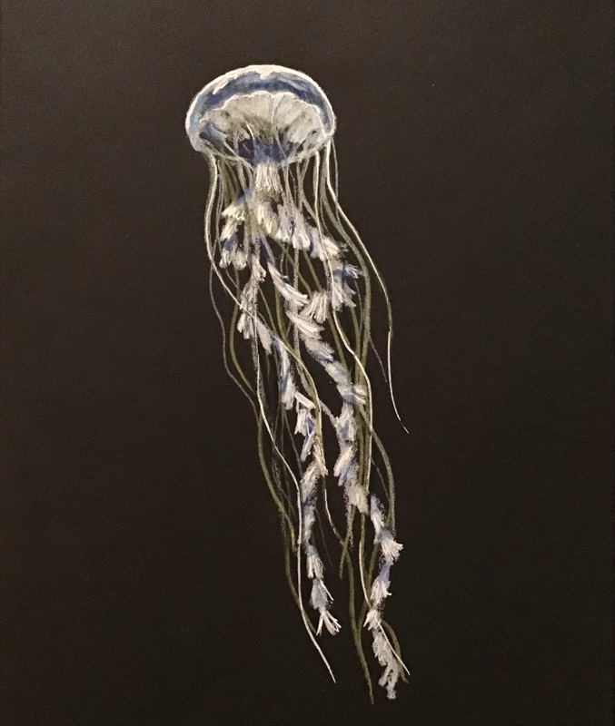 jellyfish by Sally (Colored pencil, Pen)