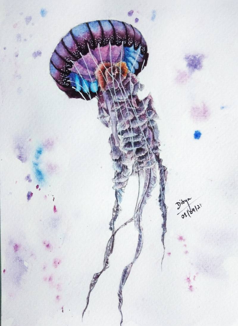 jellyfish by Dibya (Watercolor)