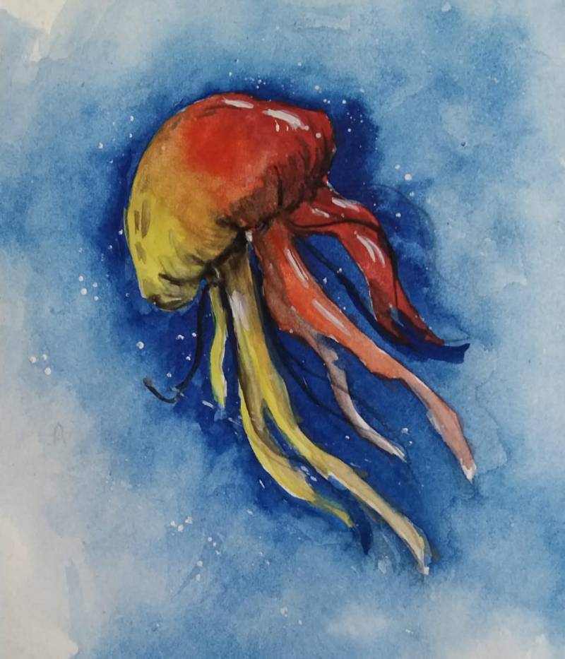 jellyfish by Colourful_Arts (Pencil, Watercolor)
