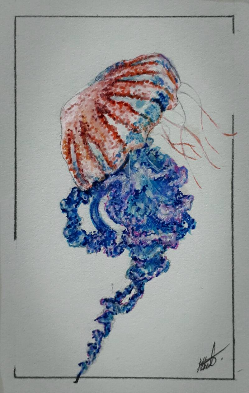 jellyfish by Jesseeker44 (Pencil, Markers)
