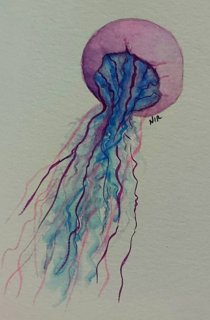 jellyfish by almaboricua (Watercolor, Pen)