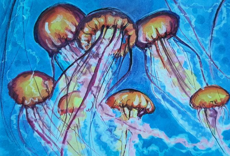 jellyfish by tamileexyz (Pen, Markers)