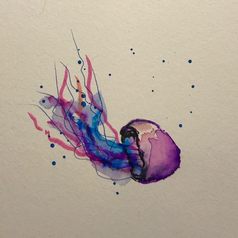 jellyfish by camg (Watercolor, Ink)