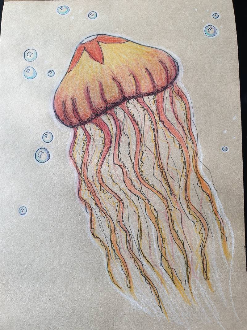 jellyfish by little (Pen, Colored pencil)