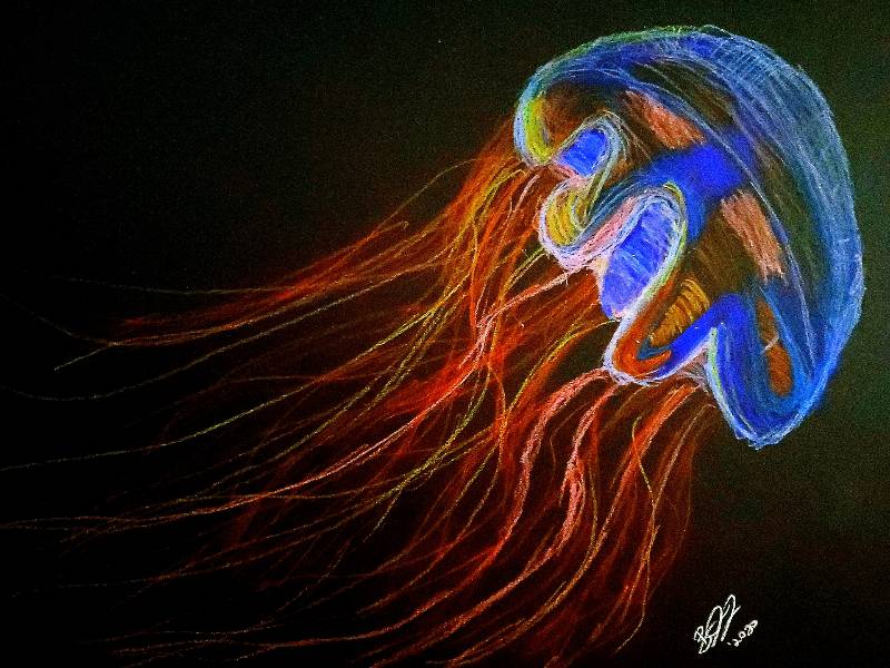jellyfish by BJFord76 (Colored pencil, Soft pastel, Oil pastel)