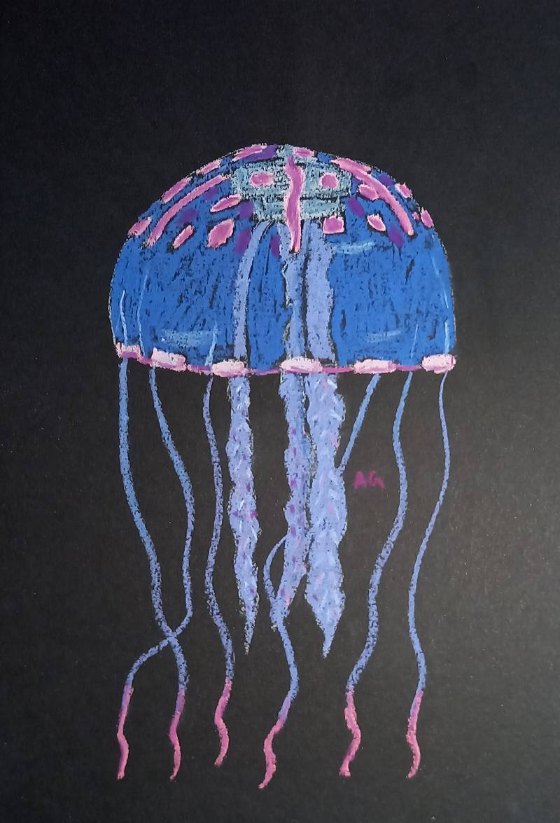 jellyfish by Anubsi (Soft pastel)