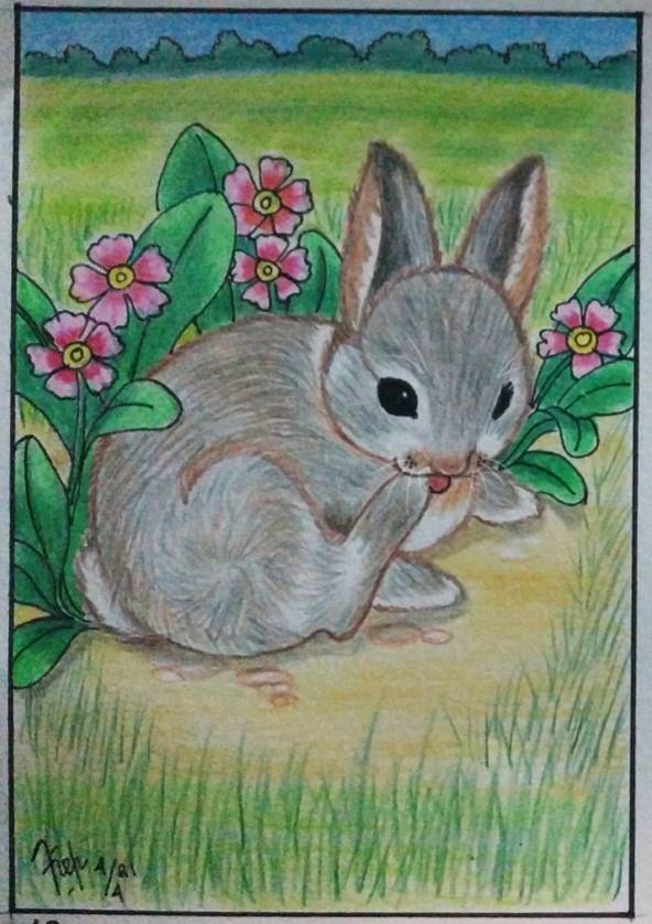 bunny by Vincencia_Robin (Pencil, Pen, Colored pencil)