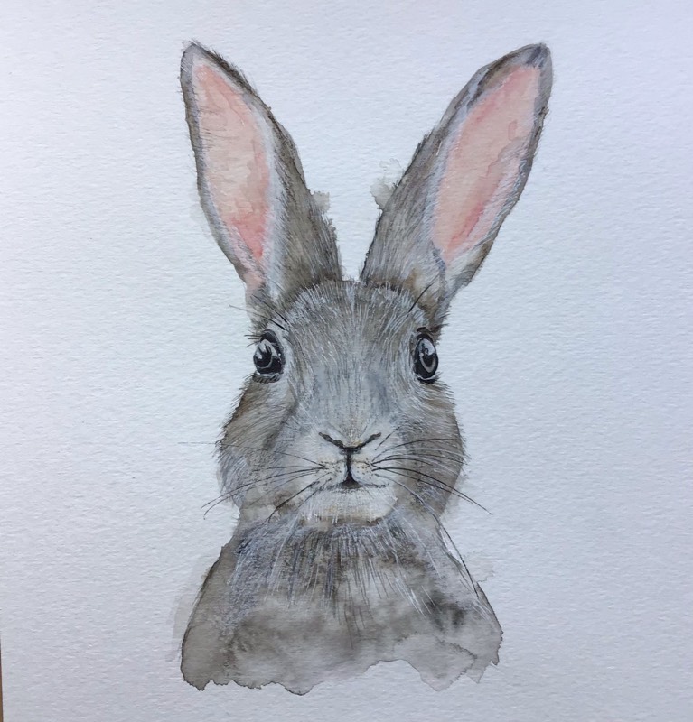 bunny by Sally (Watercolor)