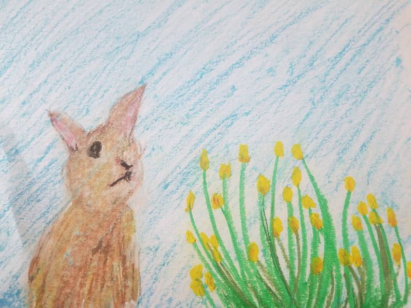 bunny by Keldiana (Pencil, Oil pastel)