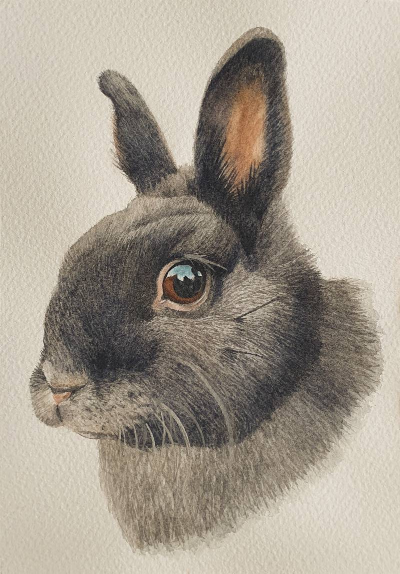 bunny by BunMum (Watercolor)