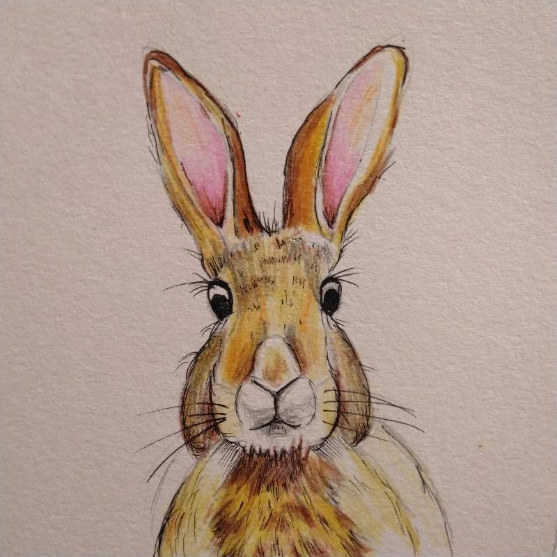 bunny by Johnny_ (Colored pencil, Pen)