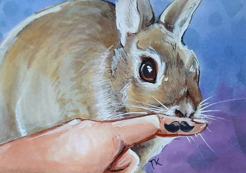 bunny by tamileexyz (Pen, Markers)