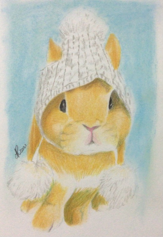 bunny by Niomix (Colored pencil, Soft pastel)