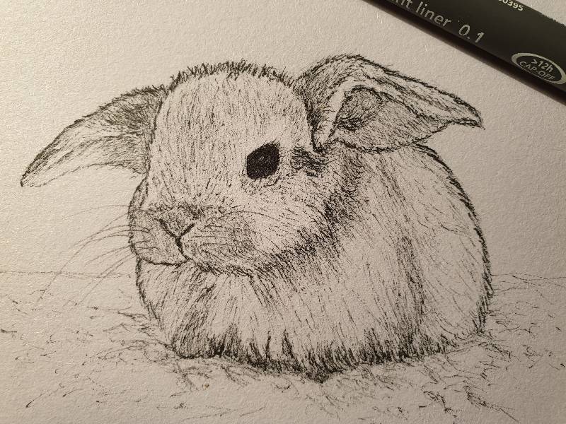bunny by Magae (Ink)
