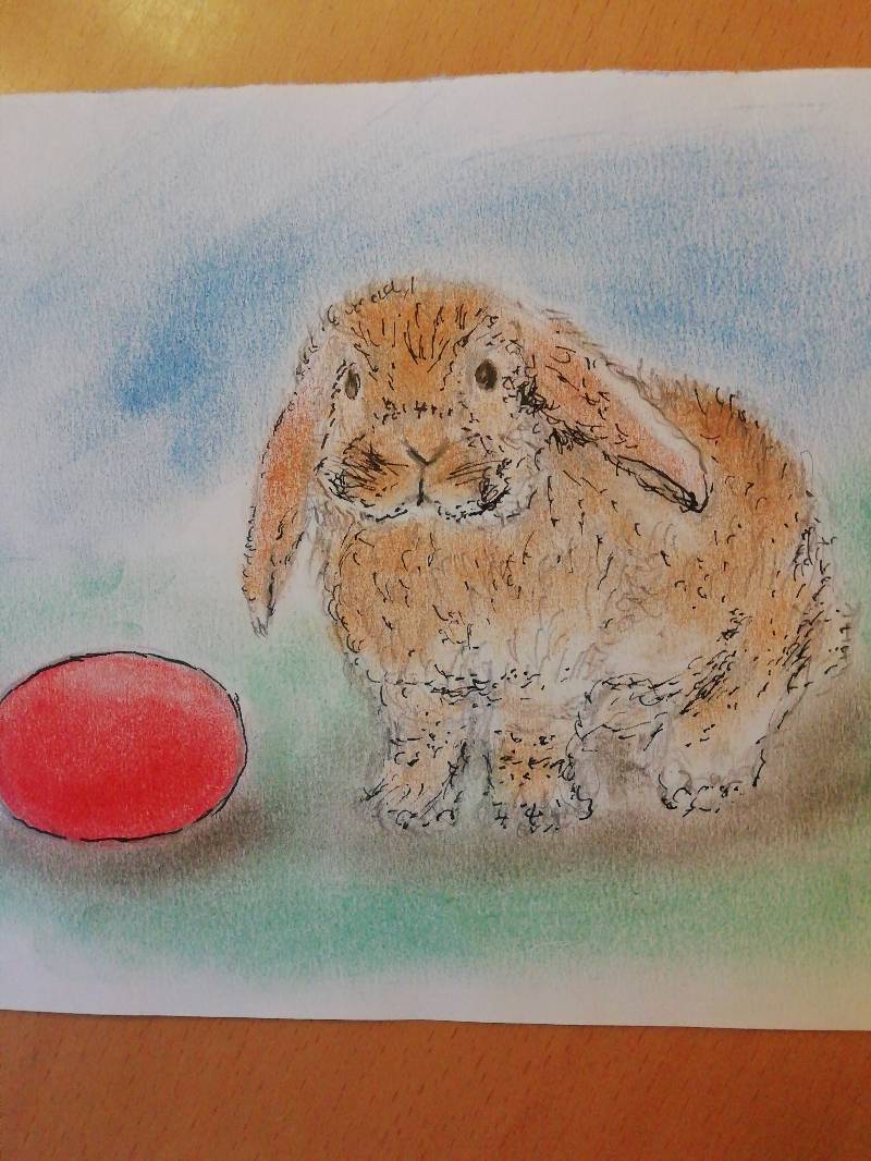 bunny by Ekisz (Pen, Soft pastel)