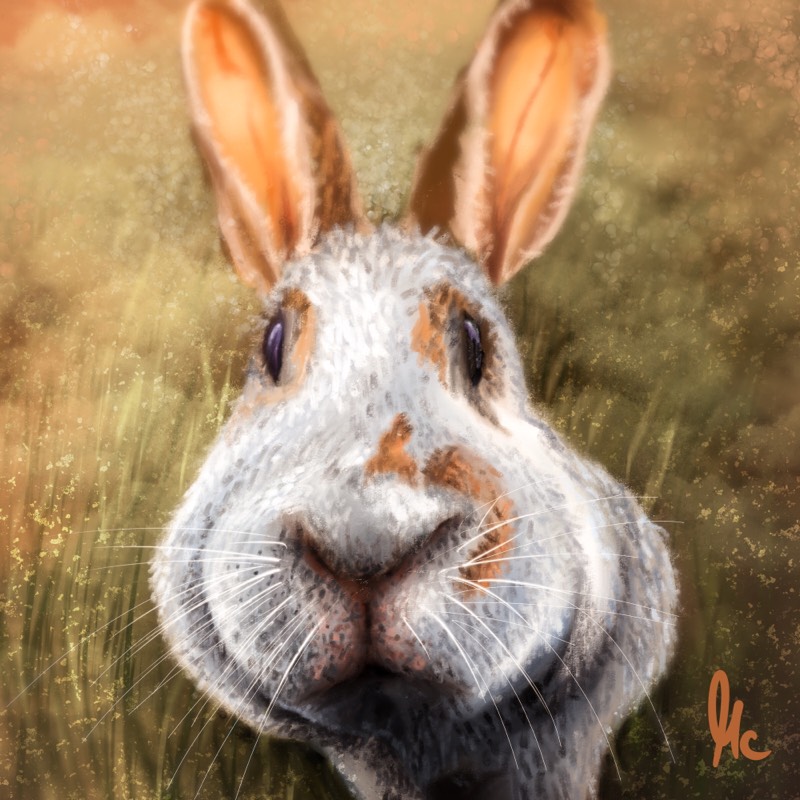 bunny by TheHunterCow (Digital)