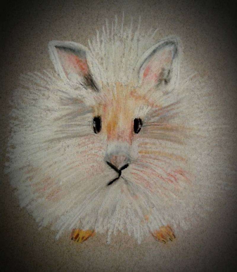 bunny by MBear (Soft pastel, Charcoal)