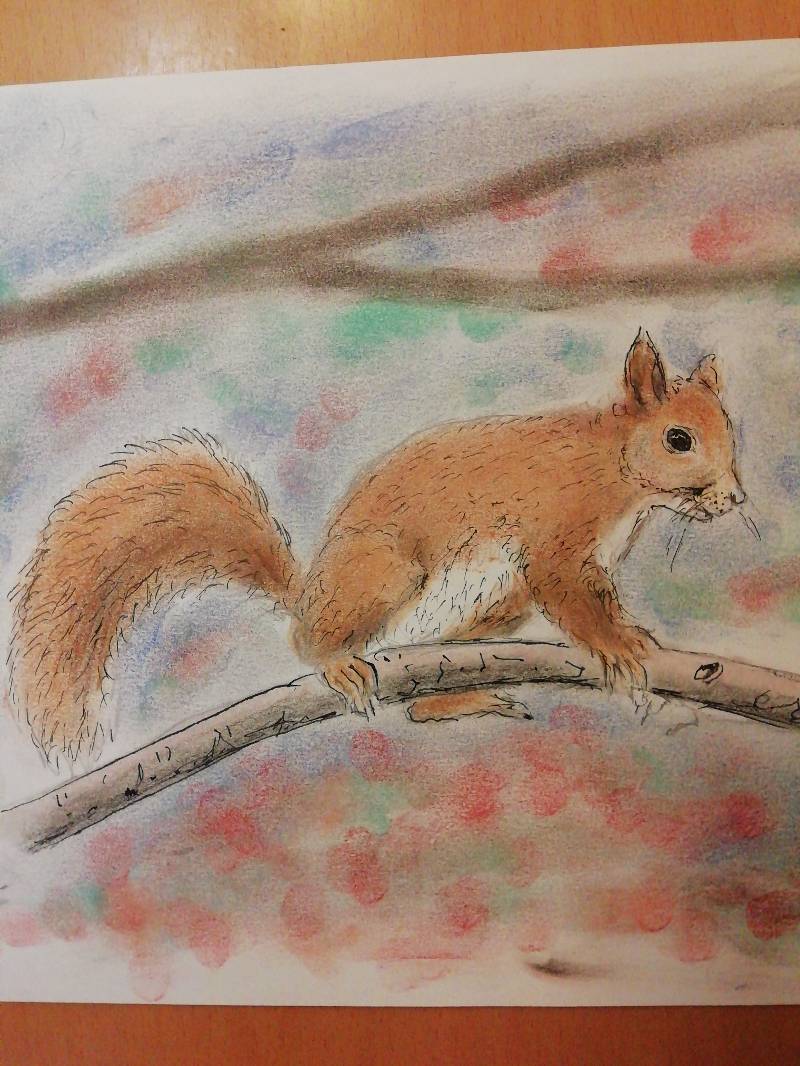 squirrel by Ekisz (Pen, Soft pastel)