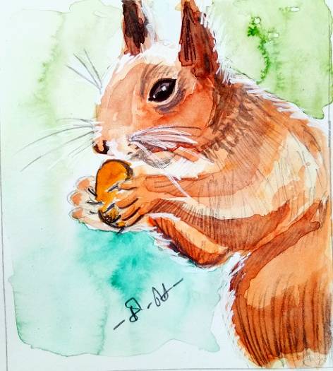 squirrel by infoguru (Pencil, Watercolor)