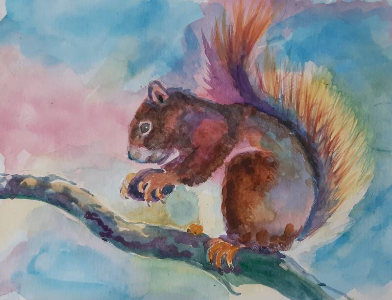 squirrel by bobbiw (Watercolor)
