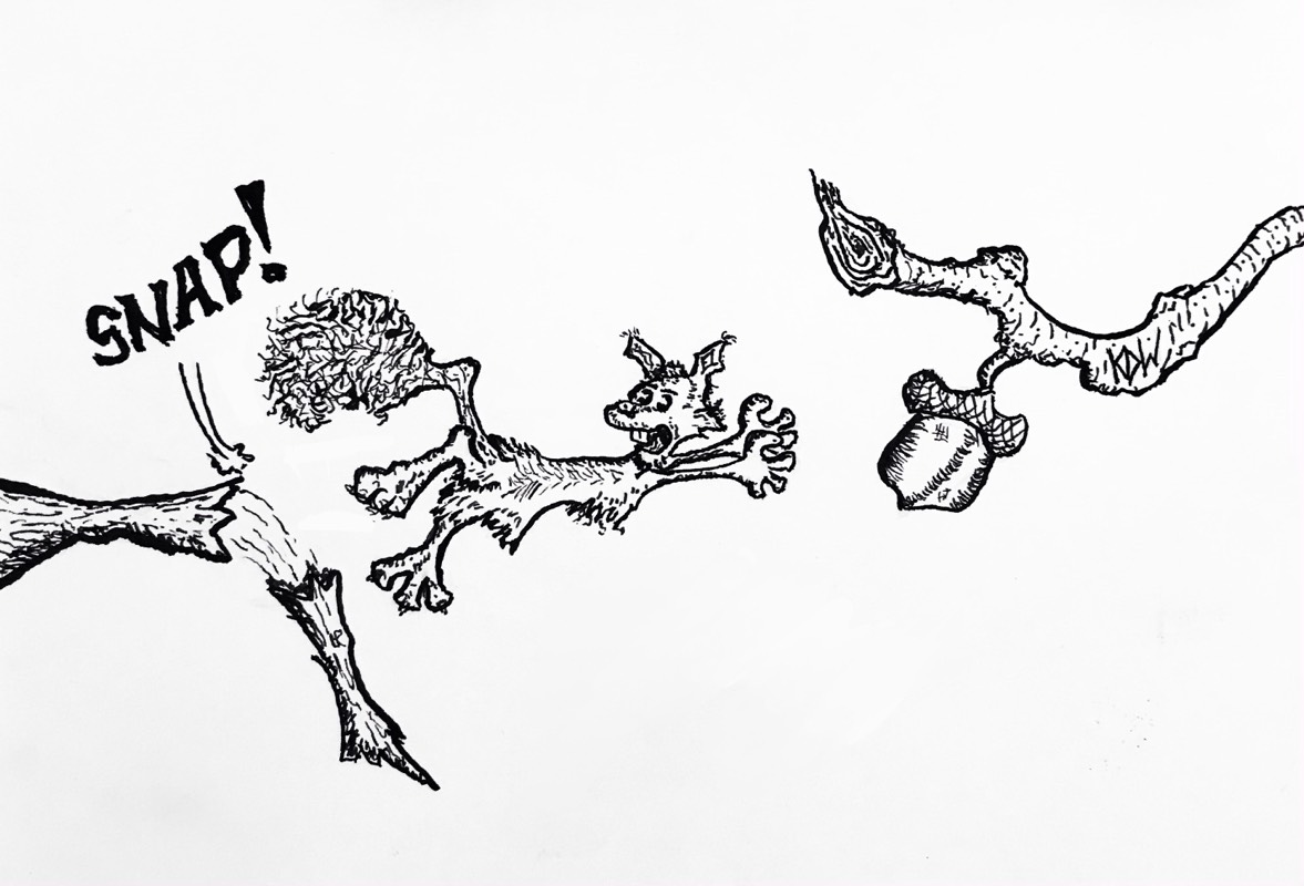 squirrel by KDW (Pencil, Ink)
