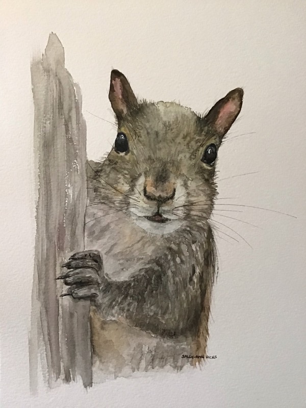 squirrel by Sally (Watercolor)