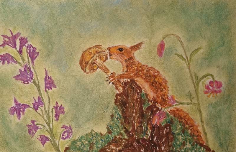 squirrel by Newchance (Colored pencil, Soft pastel)