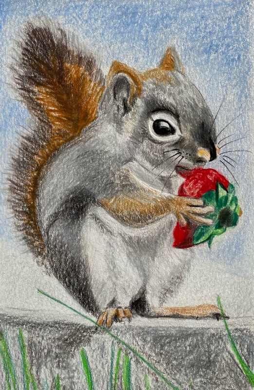 squirrel by TinaB (Pencil, Pen, Colored pencil)