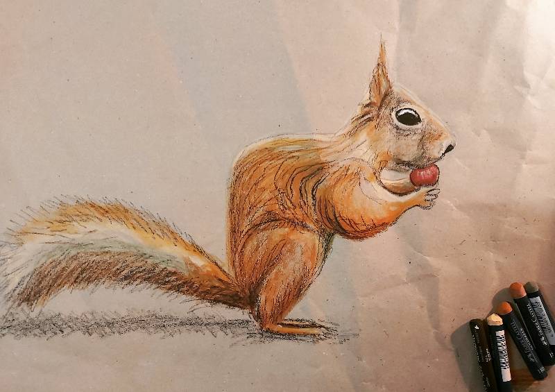 squirrel by claudi_drawings (Oil pastel)
