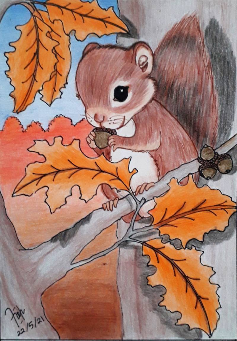 squirrel by Vincencia_Robin (Pencil, Pen, Colored pencil)