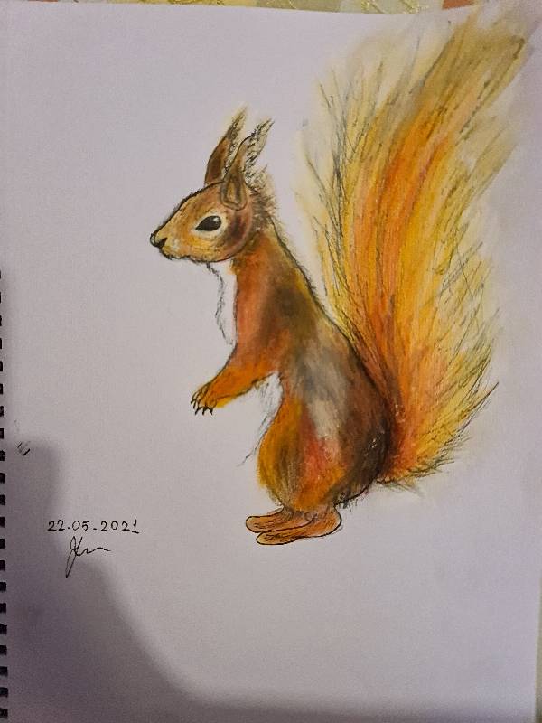 squirrel by PanishaArt (Pencil, Ink, Colored pencil, Oil pastel)