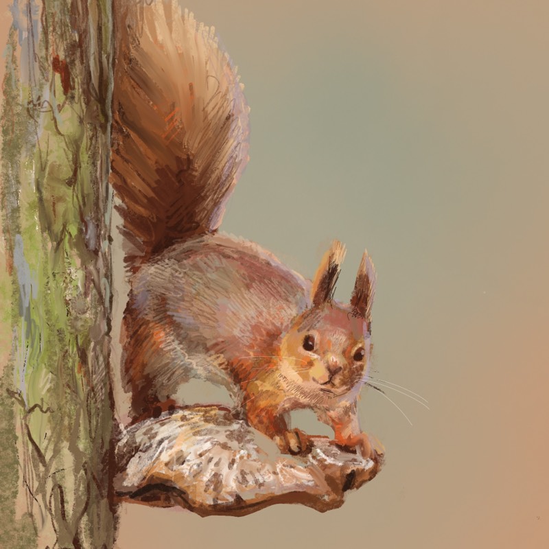 squirrel by aloc (Digital)