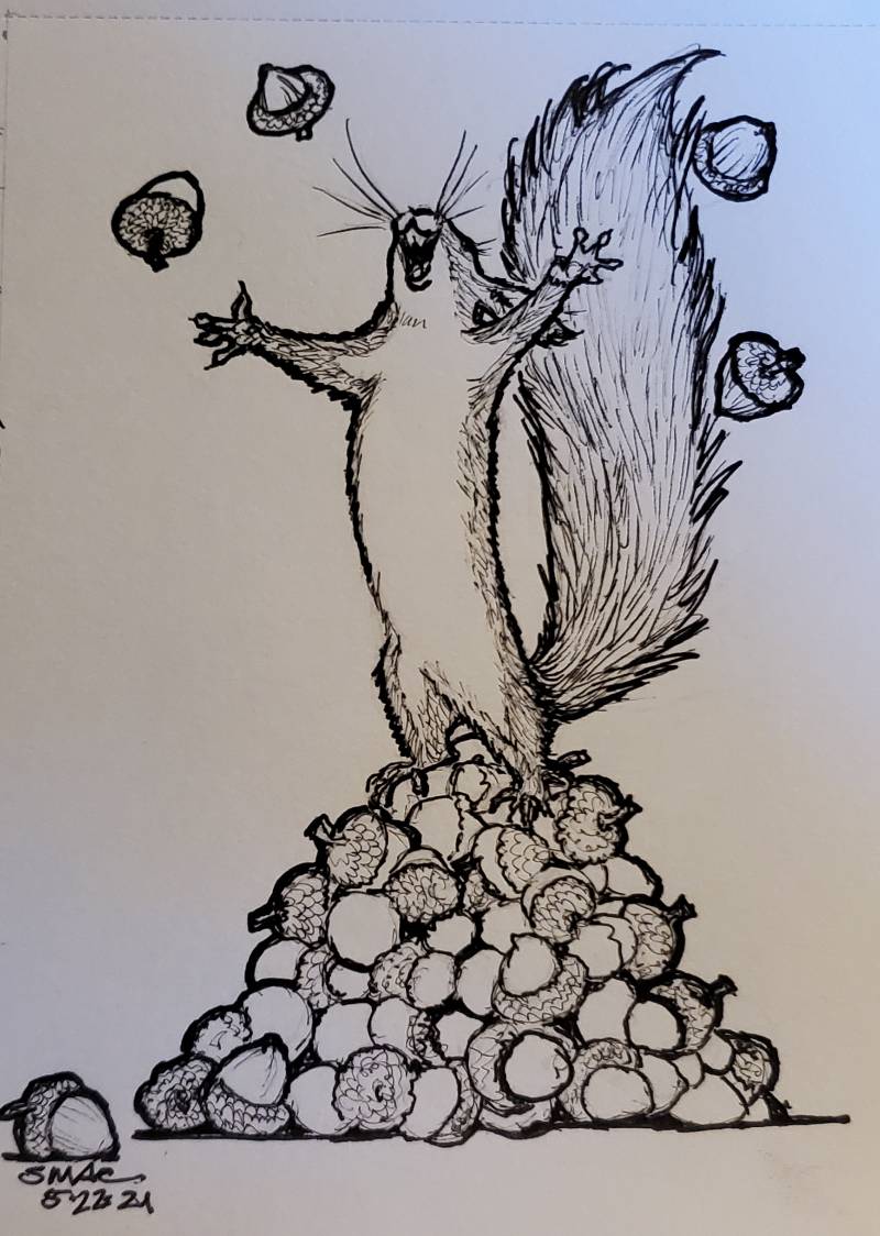 squirrel by sammymac (Pencil, Markers)