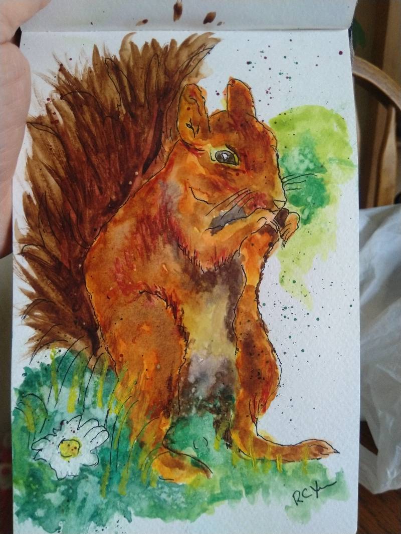 squirrel by Robert_Young (Watercolor, Ink, Oil pastel)